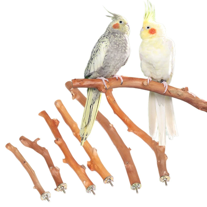 Natural Parrot Perch Birds Stand Tree Stick Paw Grinding Fork Parakeet Climbing Bird Standing Branches Toys Birdcage Accessories