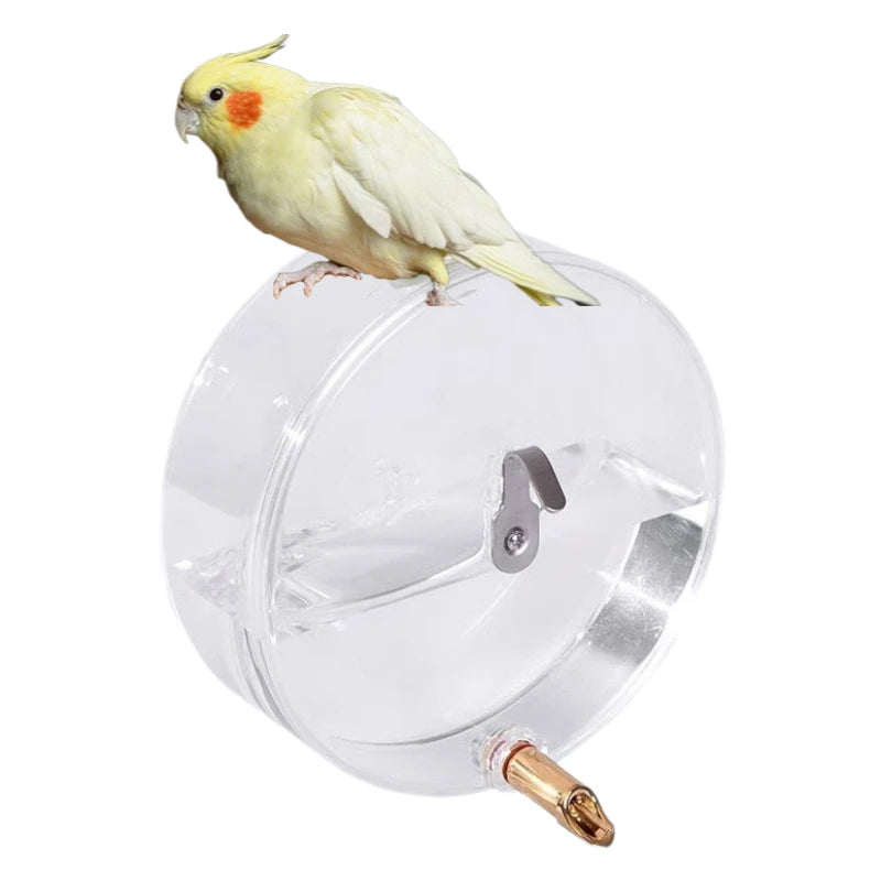 300ML Bird Drinker Waterer Parakeet Water Dispenser for Cage Birds  Drinking Water Bottle Parrot Automatic Drinking Device